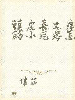 头皮长又痒又疼的小疙瘩怎么办