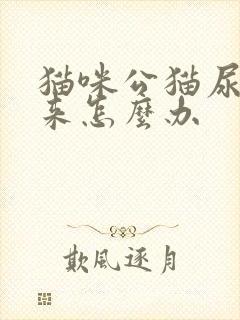 猫咪公猫尿不出来怎么办封面