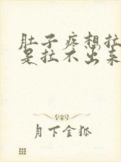 肚子疼想拉屎就是拉不出来怎么回事