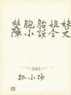 双胞胎姐妹齐上阵小说全文阅读