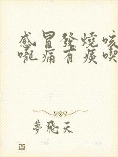 感冒发烧咳嗽喉咙痛有痰吃什么药封面