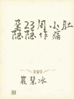 孕23周小肚子隐隐作痛封面