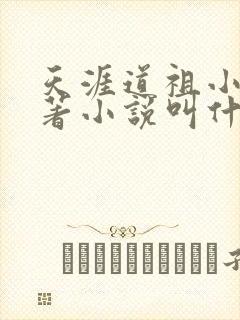 天涯道祖小说原著小说叫什么名字