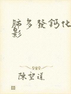 肺多发钙化结节影