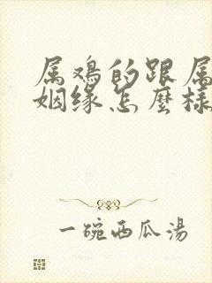 属鸡的跟属猴的姻缘怎么样封面