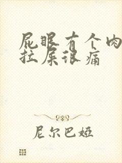 屁眼有个肉球,拉屎很痛