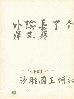 外阴长了个包又痒又疼