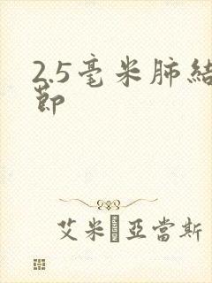 2.5毫米肺结节封面