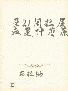 孕21周拉屎出血是什么原因