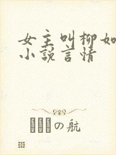 女主叫柳如烟的小说言情