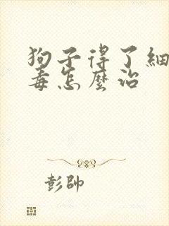 狗子得了细小病毒怎么治