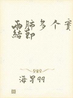 两肺多个实性小结节封面