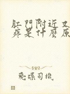 肛门附近又痒又疼是什么原因