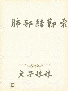 肺部结节索条影