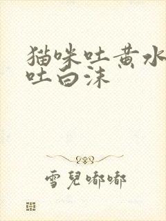 猫咪吐黄水改为吐白沫