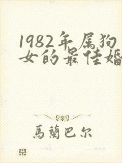1982年属狗女的最佳婚配