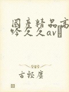 国产精品高潮呻吟久久av