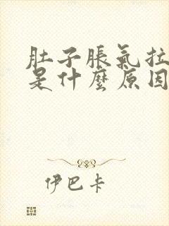 肚子胀气拉水便是什么原因