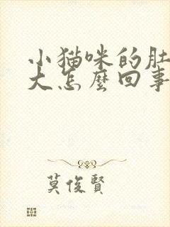 小猫咪的肚子很大怎么回事封面