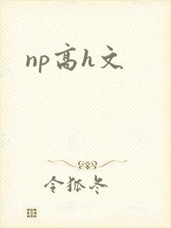 np高h文