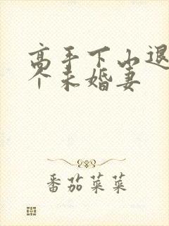 高手下山退婚九个未婚妻