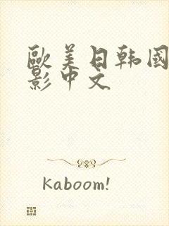 欧美日韩国产电影中文