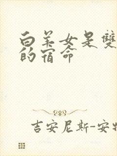 白羊女是双子男的宿命封面