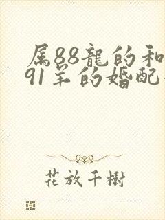 属88龙的和属91羊的婚配好吗