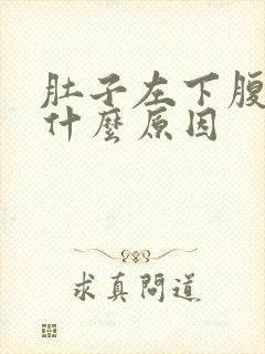 肚子左下腹疼痛什么原因