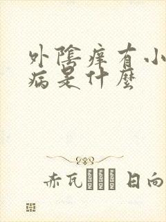 外阴痒有小疙瘩病是什么