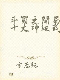 斗罗之开局觉醒十大神级武魂