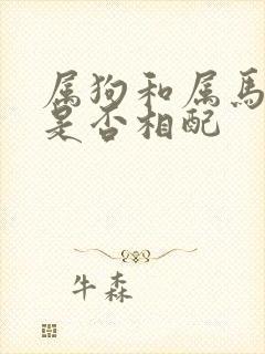 属狗和属马婚姻是否相配封面