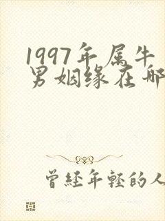 1997年属牛男姻缘在哪年能成功封面