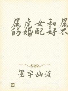 属虎女和属鼠男的婚配好不好封面