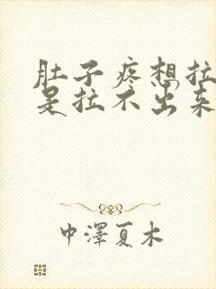 肚子疼想拉屎但是拉不出来怎么回事