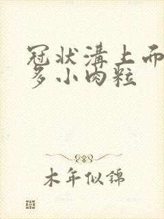 冠状沟上面有很多小肉粒封面