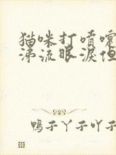 猫咪打喷嚏流鼻涕流眼泪但是吃喝正常封面