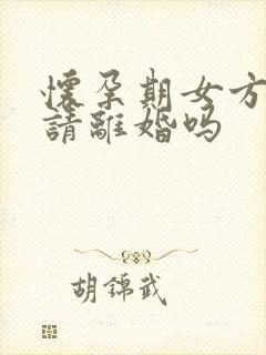 怀孕期女方能申请离婚吗