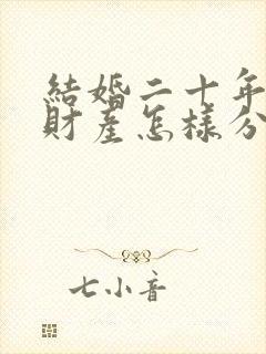 结婚二十年离婚财产怎样分割