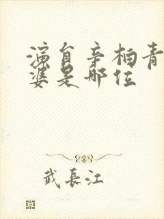 演员辛柏青的老婆是哪位