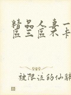 精品人妻一区二区三区不卡在线视频