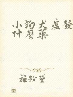 小狗犬瘟发烧吃什么药