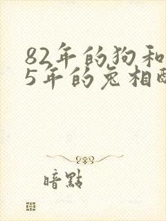 82年的狗和75年的兔相配婚姻如何