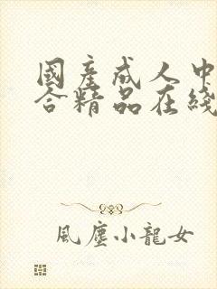 国产成人中文综合精品在线