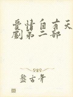 爱情自有天意短剧第二部封面