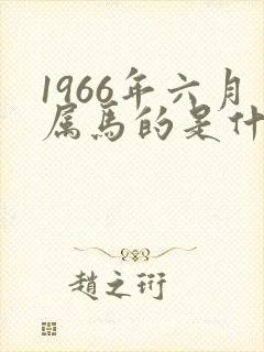 1966年六月属马的是什么命