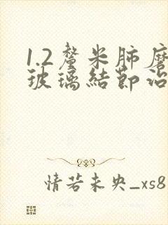 1.2厘米肺磨玻璃结节治封面