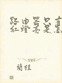 路由器只有一个红灯亮是怎么回事