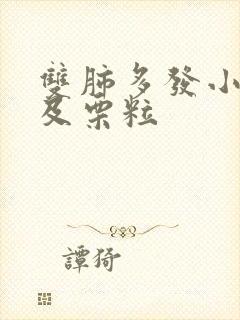 双肺多发小结节及栗粒封面