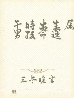 午时出生属牛的男孩命运封面